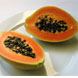 ПАПАЙЯ (PAPAYA)