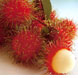 РАМБУТАН (RAMBUTAN)